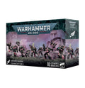 Warhammer 40k: emperor’s children tormentors