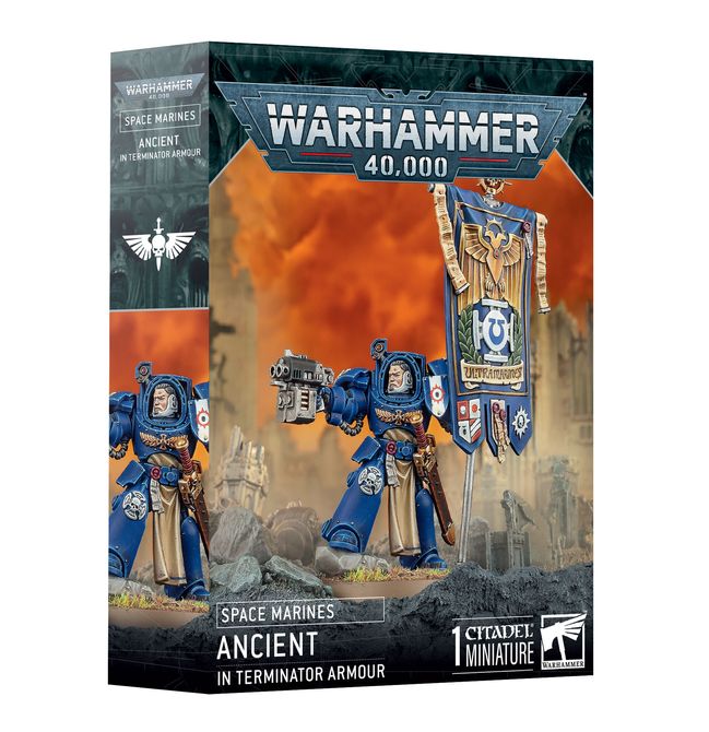 Warhammer 40K: space marines ancient in terminator armour
